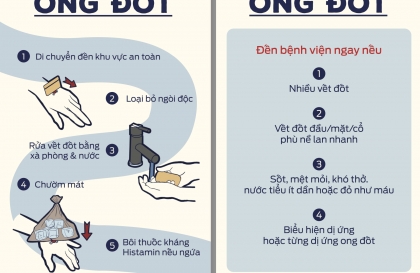 Kỹ năng sơ cứu cơ bản: Sơ cứu khi bị ong đốt